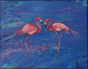 2 Flamingos standing in water